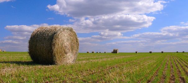 Sociétés financières et accaparement des terres agricoles françaises