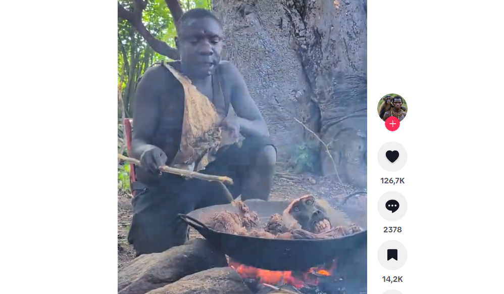 Il ne faut pas que Sardine voie ça
