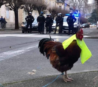 Gilets Jaunes Un Acte Xv Marqué Par Un Rebond Egalite